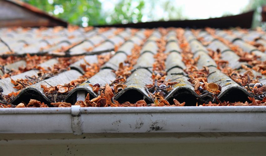 Gutter Cleaners In Perth