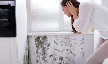 Housing Disrepair Claims