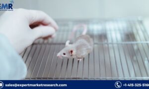 Humanised Mouse and Rat Model Market