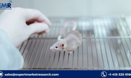 Humanised Mouse and Rat Model Market