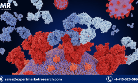 Immunoglobulin Market