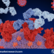 Immunoglobulin Market