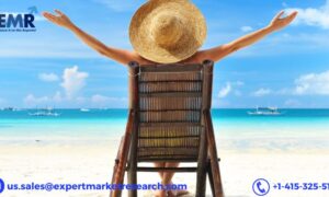 Leisure Travel Market