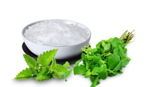 Menthol Crystal Production Cost