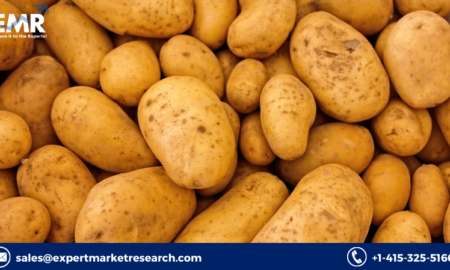 Potato Protein Market