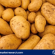 Potato Protein Market