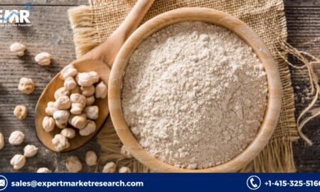 Pulse Flour Market