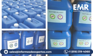 RO Membrane Cleaning Chemicals Market Size