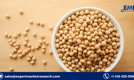 Soybean Market