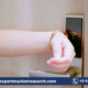 Wireless Door Lock System Market