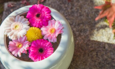 Wish your better half with these amazing flowers