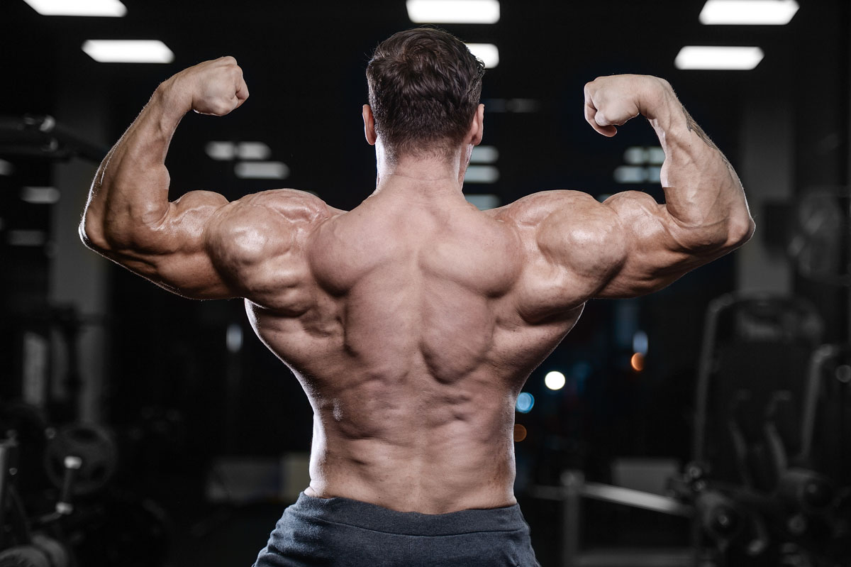 Ultimate Guide About SARMs and Their Potential Health Benefits