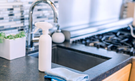 maid service langley