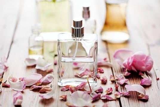 Perfect Flowers That can be Used for Making Perfumes