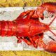 What to Look for When Buying Lobsters