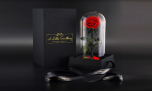 Preserved Roses