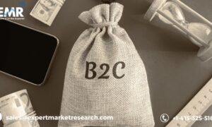 B2C E-Commerce Market