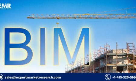 BIM In Construction Market