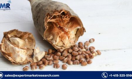 Baobab Ingredient Market