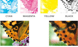 Color Separatio Screen Printing