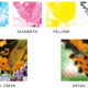 Color Separatio Screen Printing