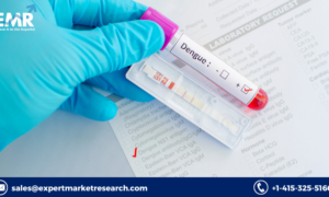 Dengue Testing Market