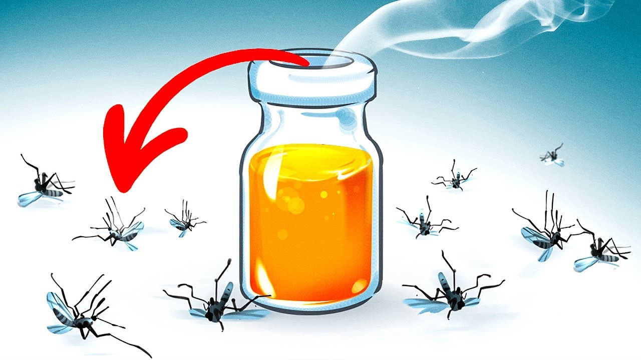 Get Rid of Mosquitoes