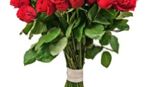 flower delivery in Gurgaon