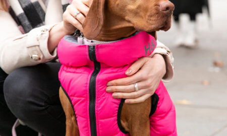 Wholesale Luxury Dog Jackets Online