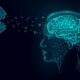 How do Nootropics Work for the Brain