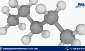 India n-Pentane Market