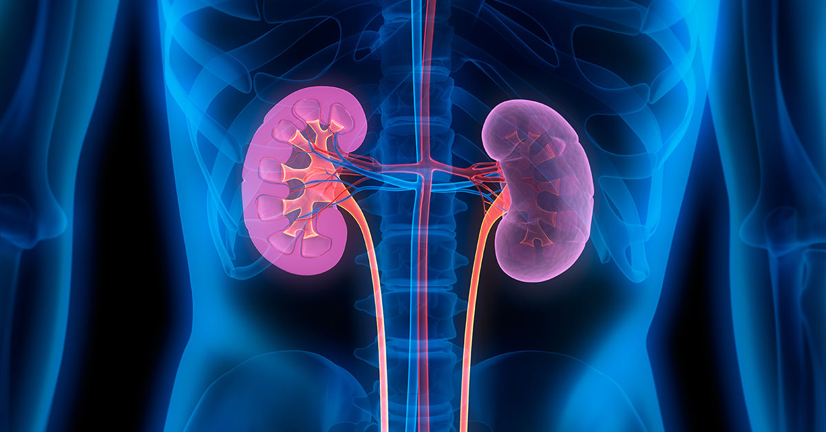 KIDNEY RELOCATE METHOD AND ANALYSIS: CURRENT REALITIES