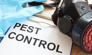 Reasonable Pest Control In Cambridge?