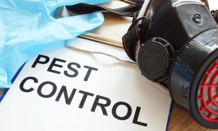 Reasonable Pest Control In Cambridge?