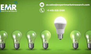 Solid State Lighting Market