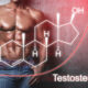 Testosterone Levels