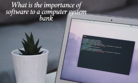 What is the importance of software to a computer system bank