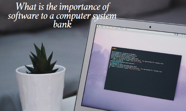 What is the importance of software to a computer system bank
