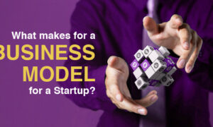 Business Model for a Startup