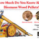 How Much Do You Know About Biomass Wood Pellets