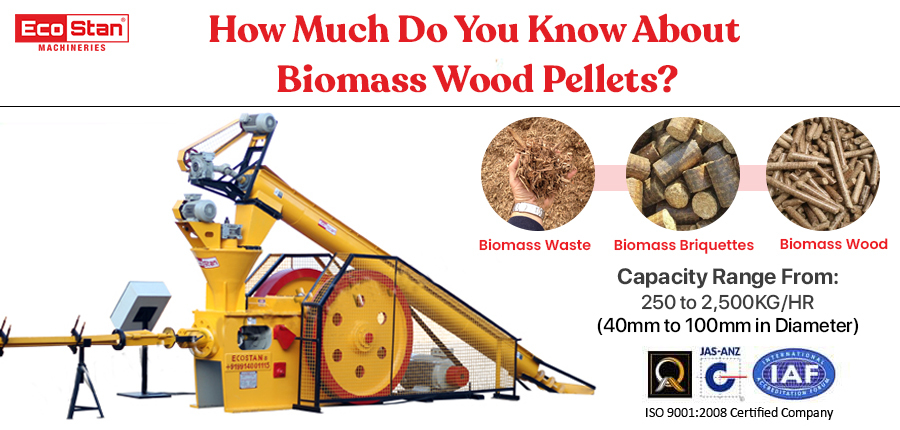 How Much Do You Know About Biomass Wood Pellets