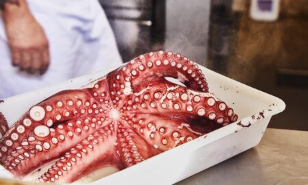 japanese octopus recip