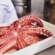 japanese octopus recip