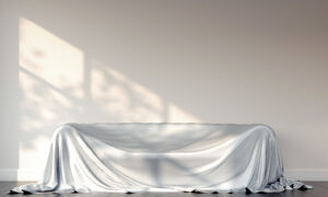 Home Furniture Covers