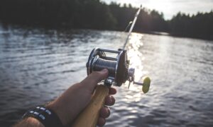 The Different Types of Land-Based Fishing