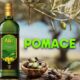 Olive Oil Extracted