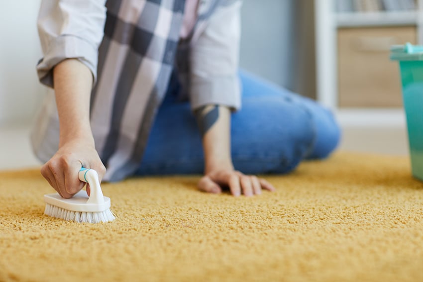 carpet cleaning