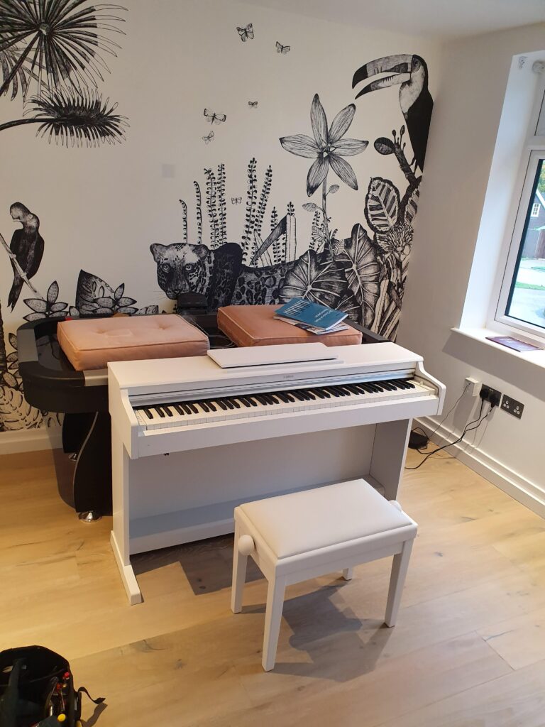 cat flap fitter london