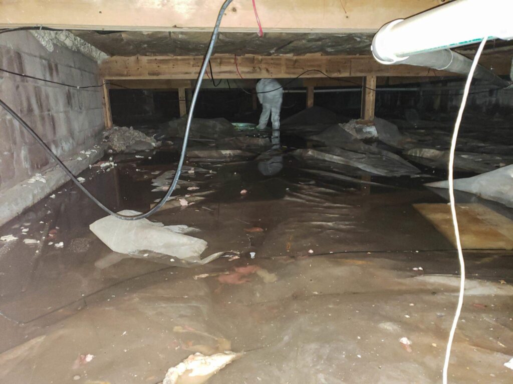 emergency flood services