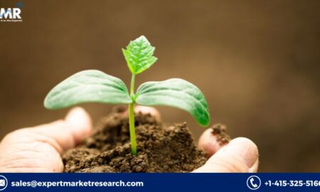 Agricultural Micronutrients Market
